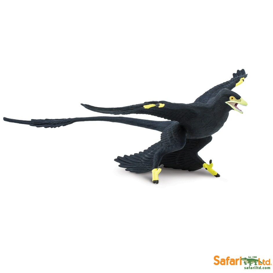 Microraptor dinosaur model.