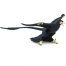 Wild Safari Prehistoric World Microraptor