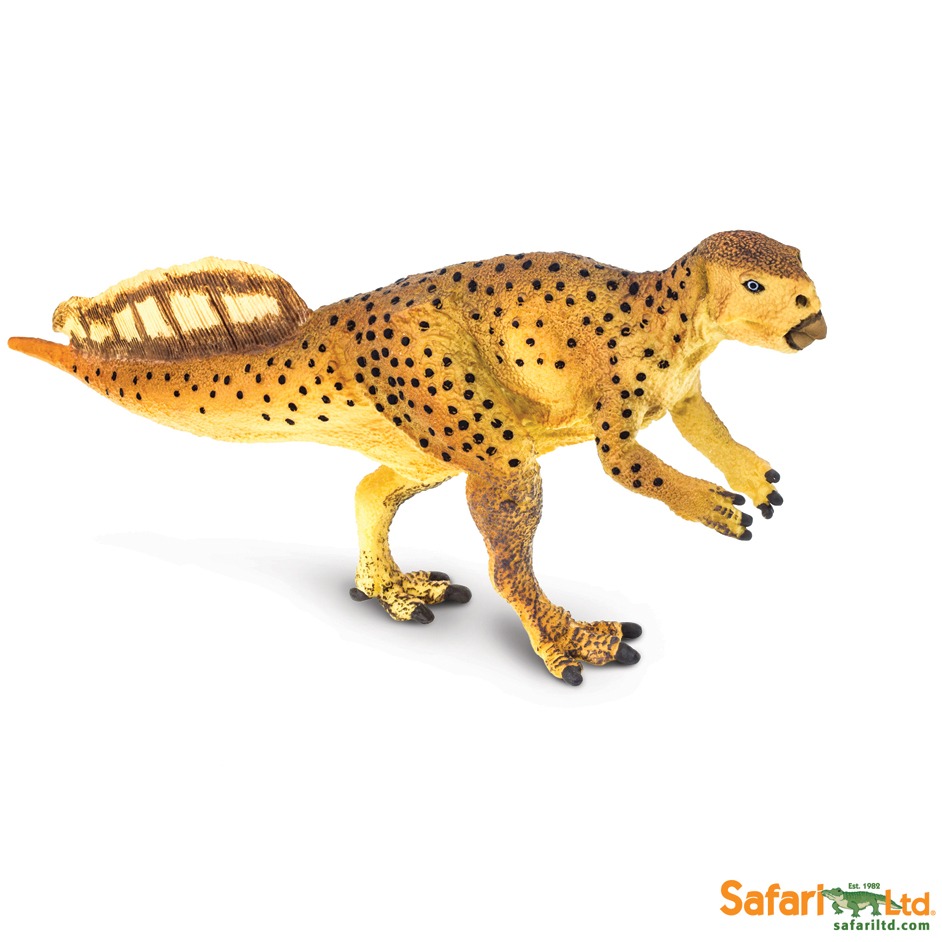 Psittacosaurus dinosaur model.