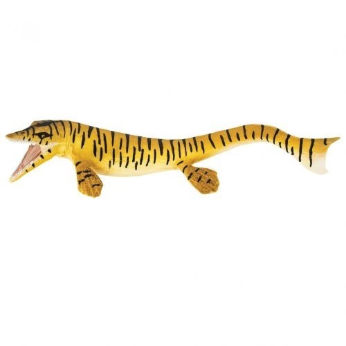 Tylosaurus model.