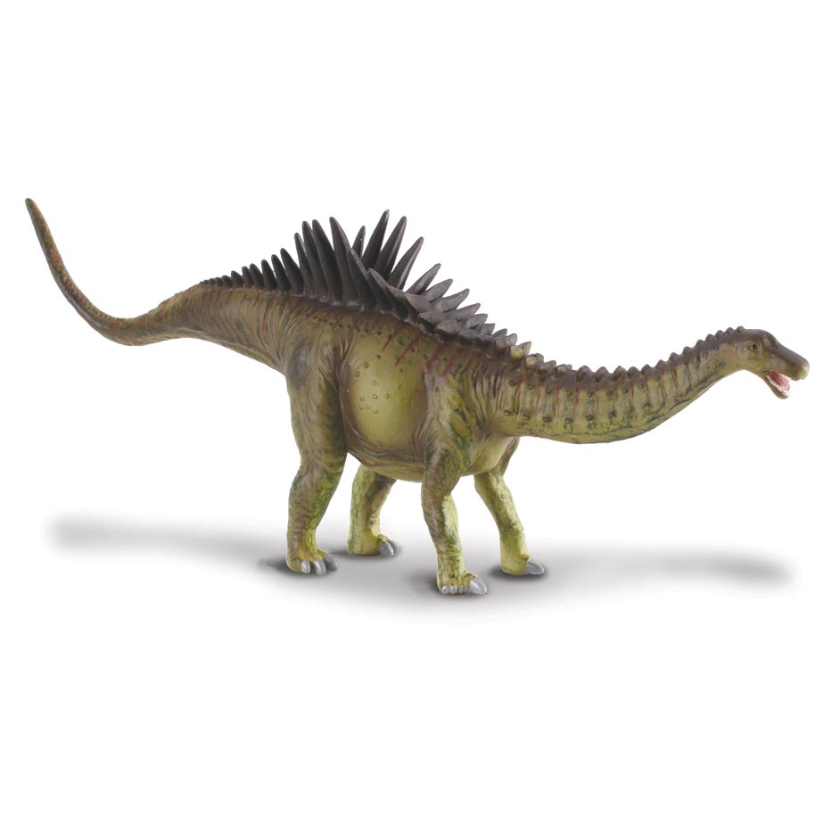 Agustinia Dinosaur Model