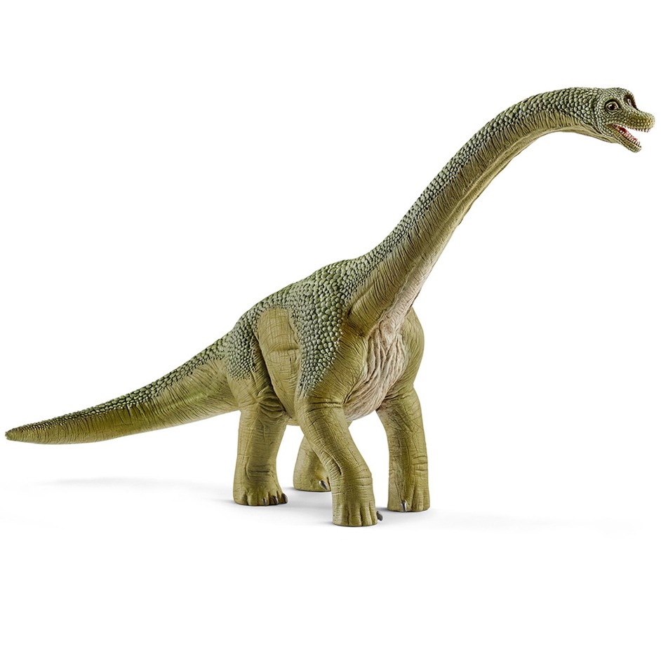 A Schleich Brachiosaurus model.