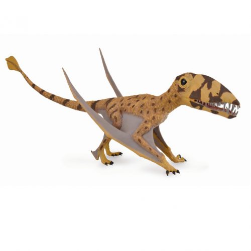 The CollectA Supreme Deluxe Dimorphodon flying reptile model.