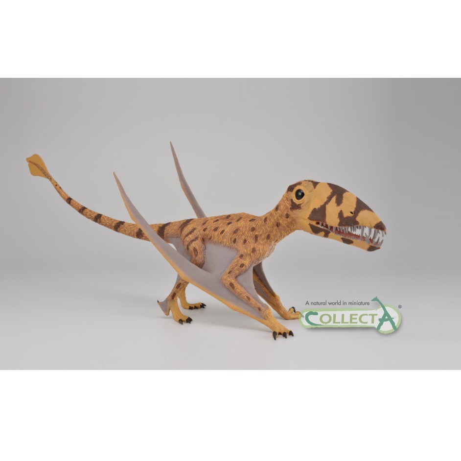 The CollectA Supreme Deluxe Dimorphodon flying reptile model.