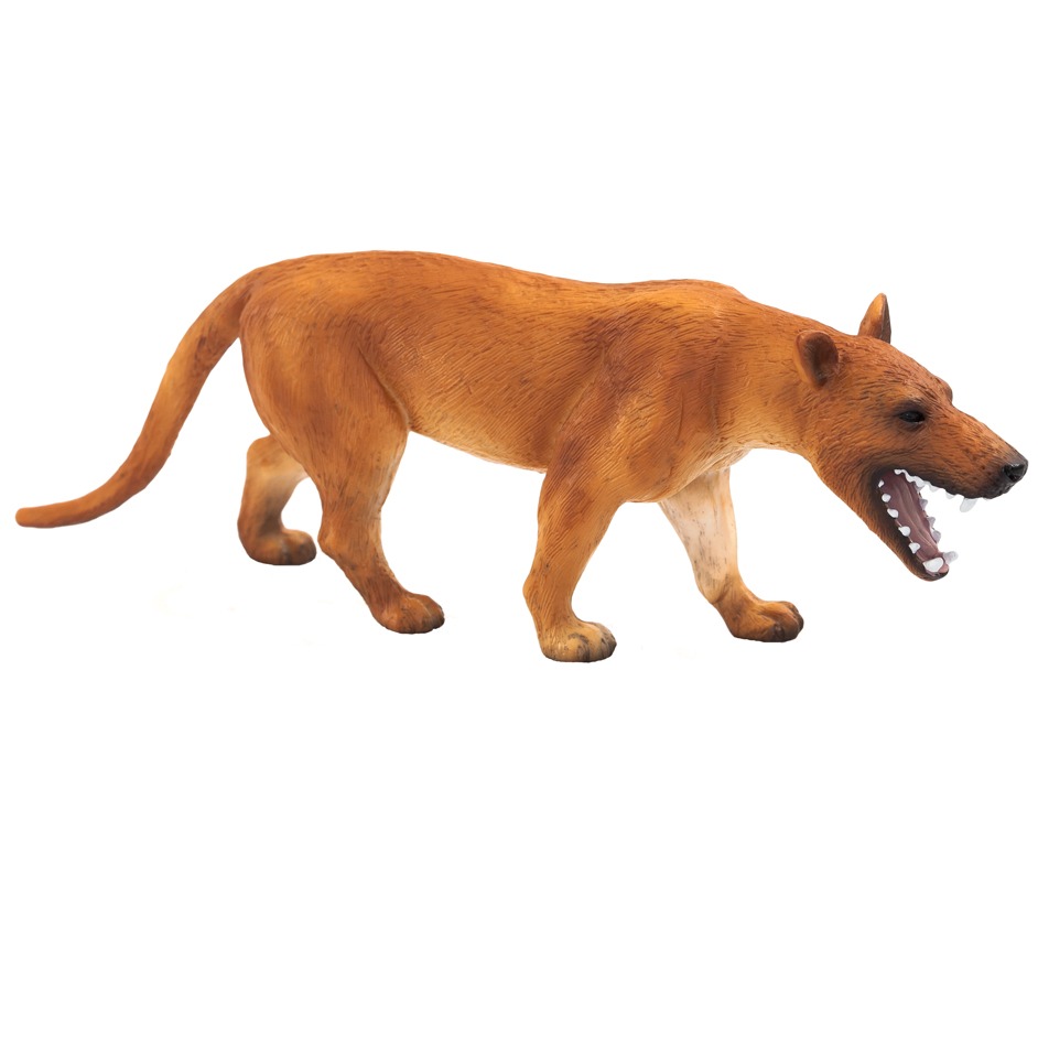 mojo hyaenodon gigas model hyaenodon size