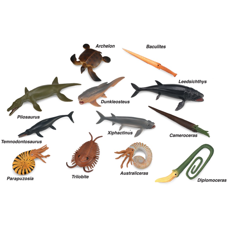 Twelve mini prehistoric marine animals from CollectA.