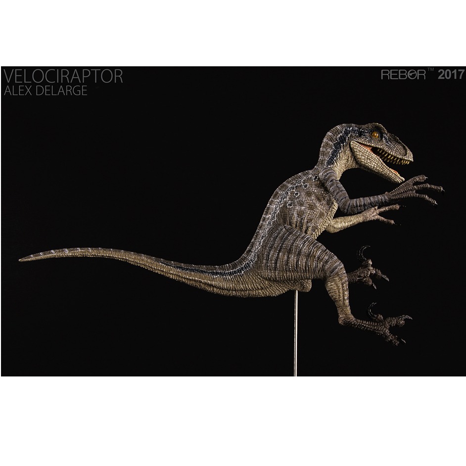 Rebor 1:18 scale Velociraptor dinosaur model (Alex Delarge).
