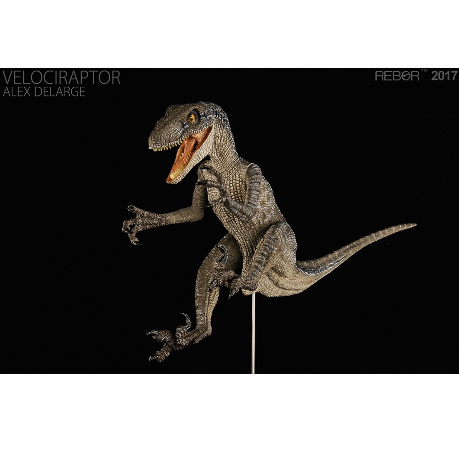 Rebor 1:18 scale Velociraptor dinosaur model (Alex Delarge).