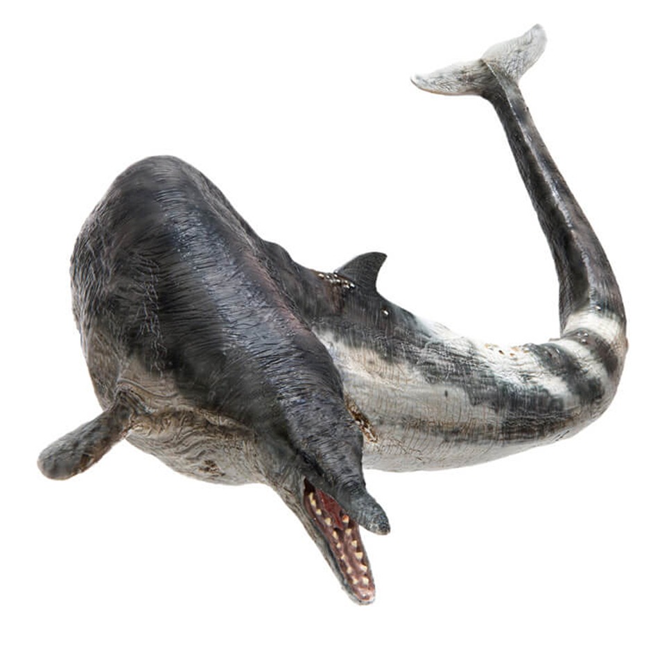 Ancient whale replica (PNSO Basilosaurus).