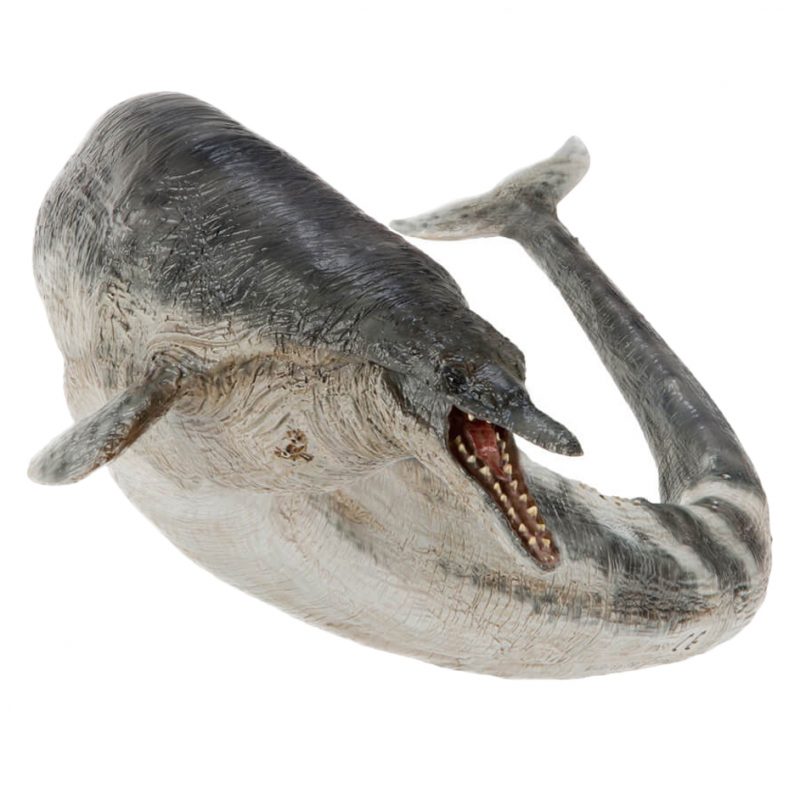 PNSO Basilosaurus PNSO Age of Dinosaurs Basilosaurus