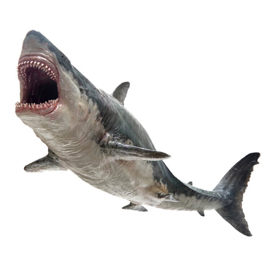 megalodon figurine