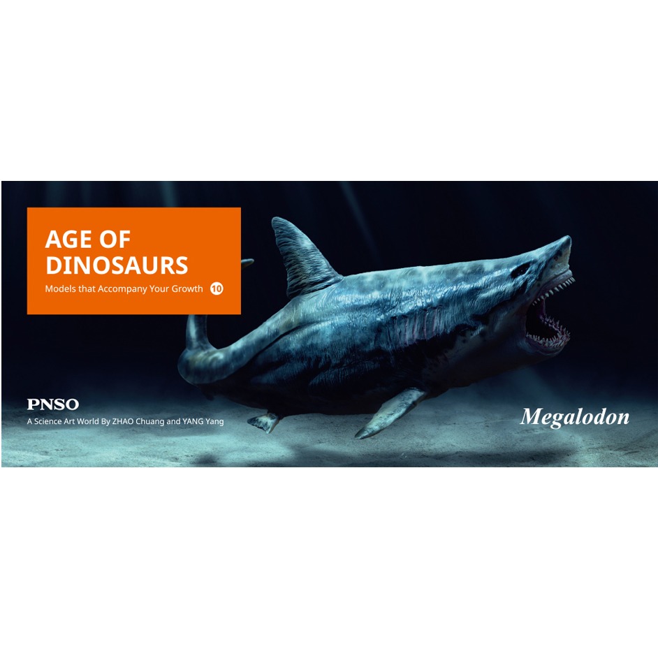 NEW Megalodon prehistoric sharks Dinosaurs Model toy Figure PNSO New In Box 