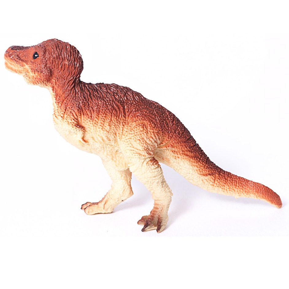 t rex age