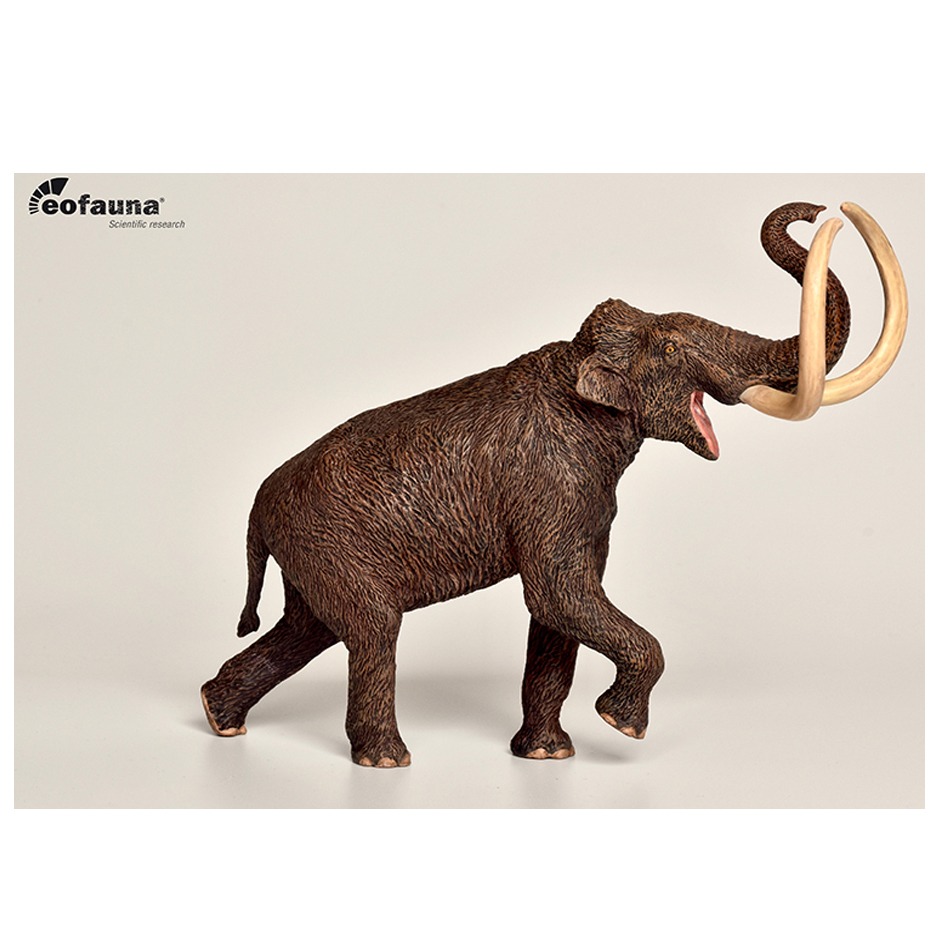 Eofauna 1:40 scale Steppe Mammoth model.