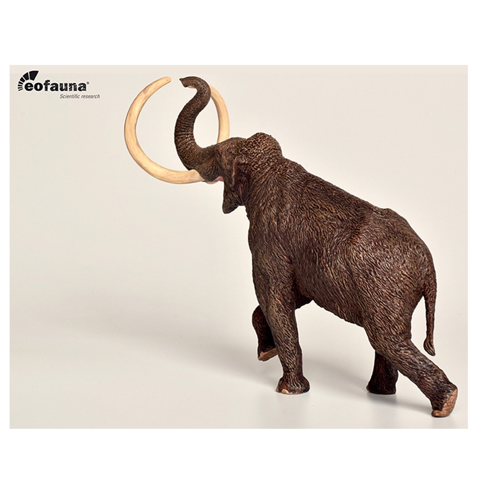 Eofauna 1:40 scale Steppe Mammoth model.