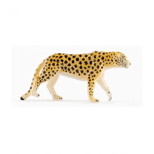 PNSO Family Zoo Cheetah.