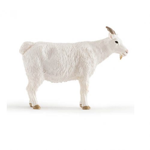PNSO Family Zoo Goat.