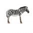 PNSO Family Zoo zebra.