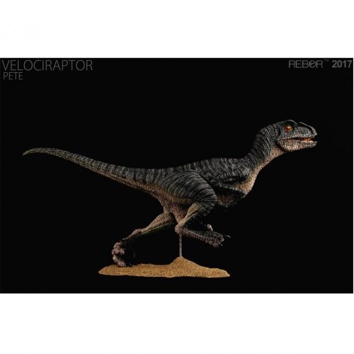 The Rebor Velociraptor replica "Pete".