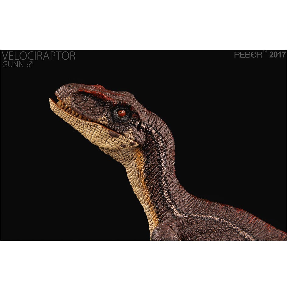 rebor velociraptor