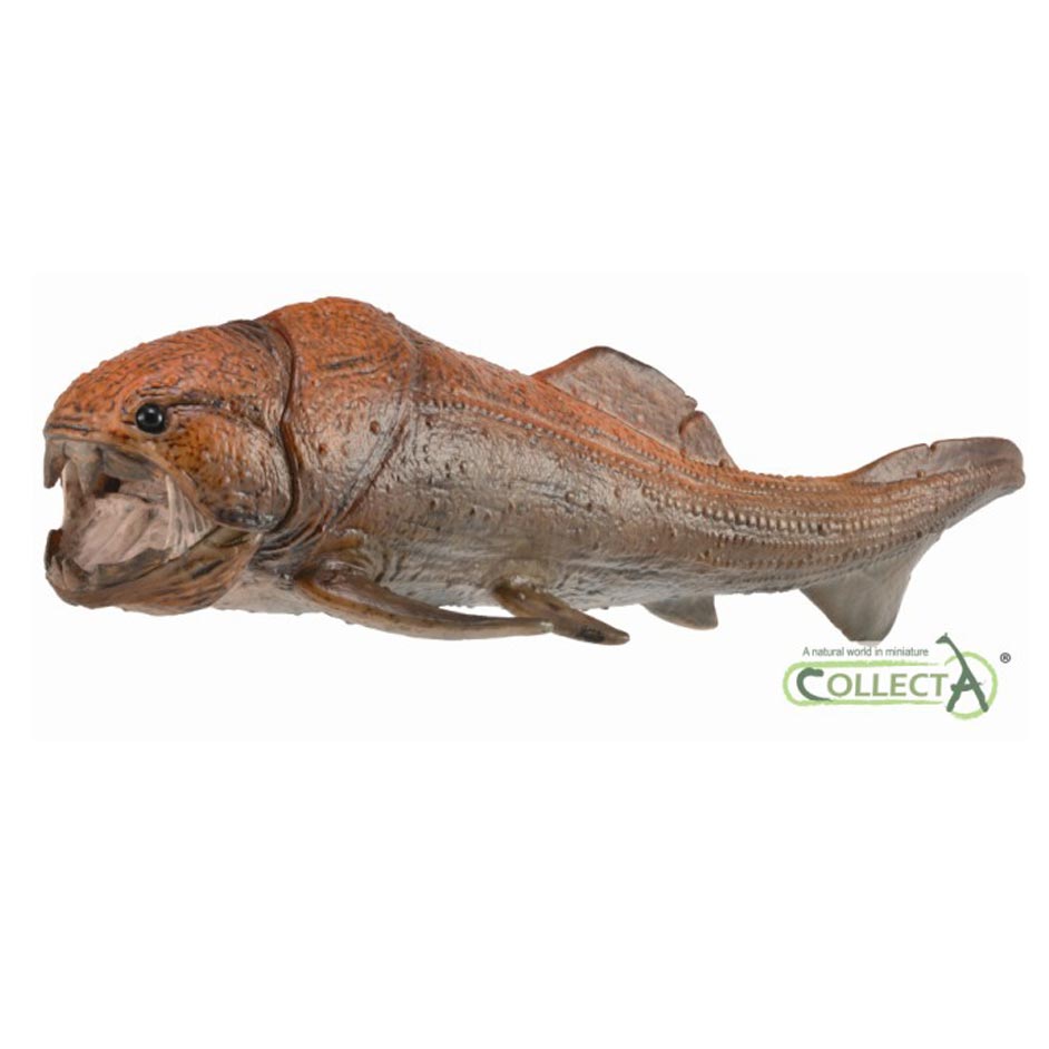 CollectA Dunkleosteus Deluxe 1:20 scale.