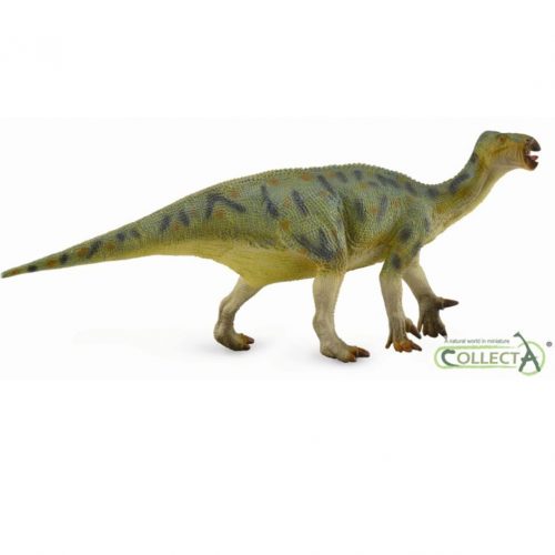 CollectA Iguanodon dinosaur model (1:40 scale).