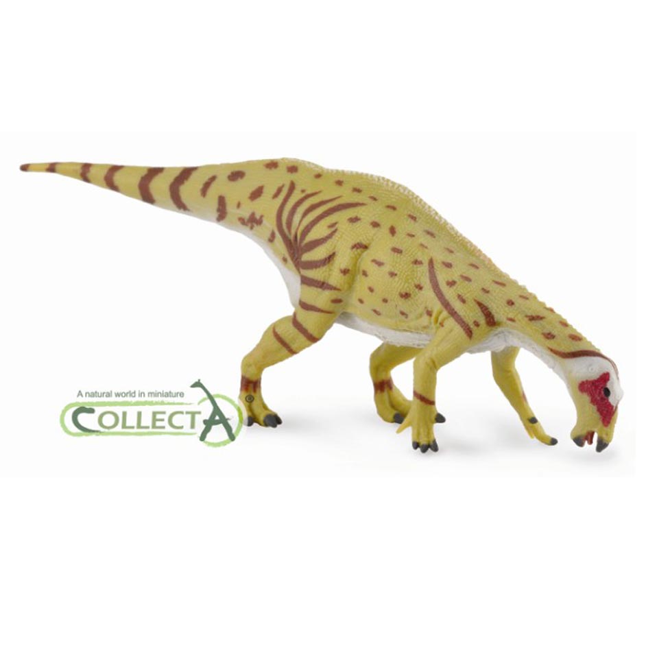 CollectA Mantellisaurus dinosaur model drinking.