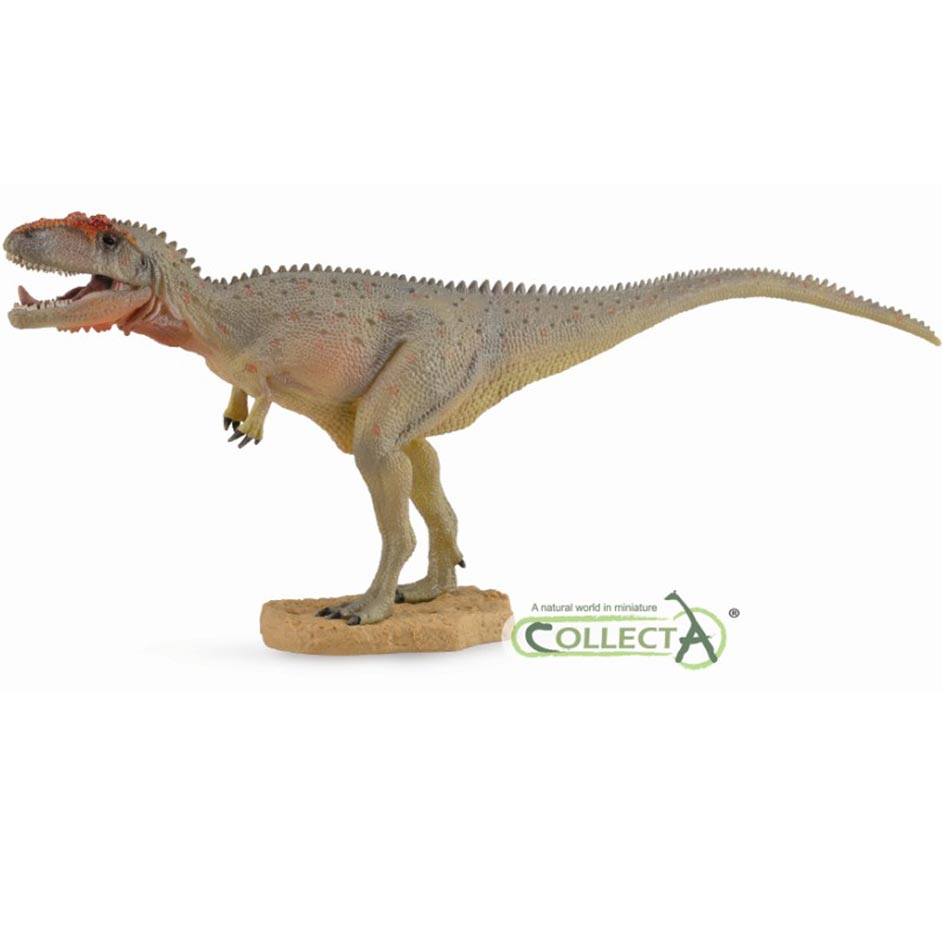 CollectA Mapusaurus dinosaur model (1:40 scale).