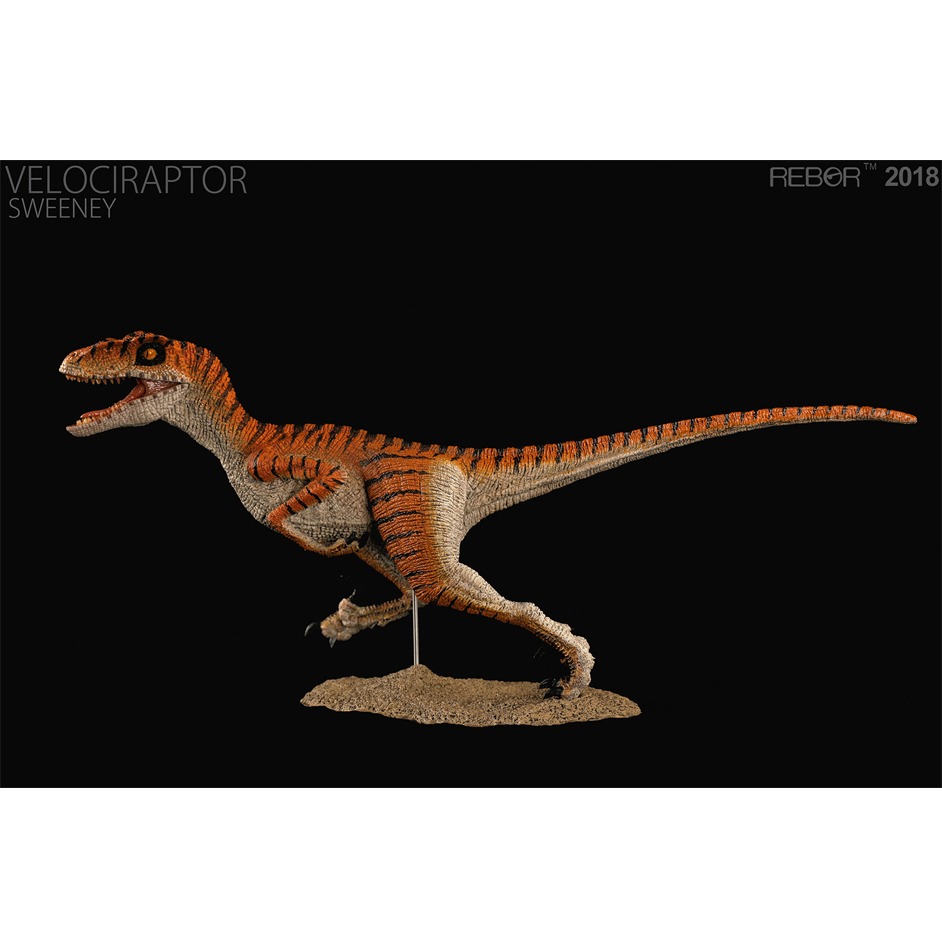 rebor raptor
