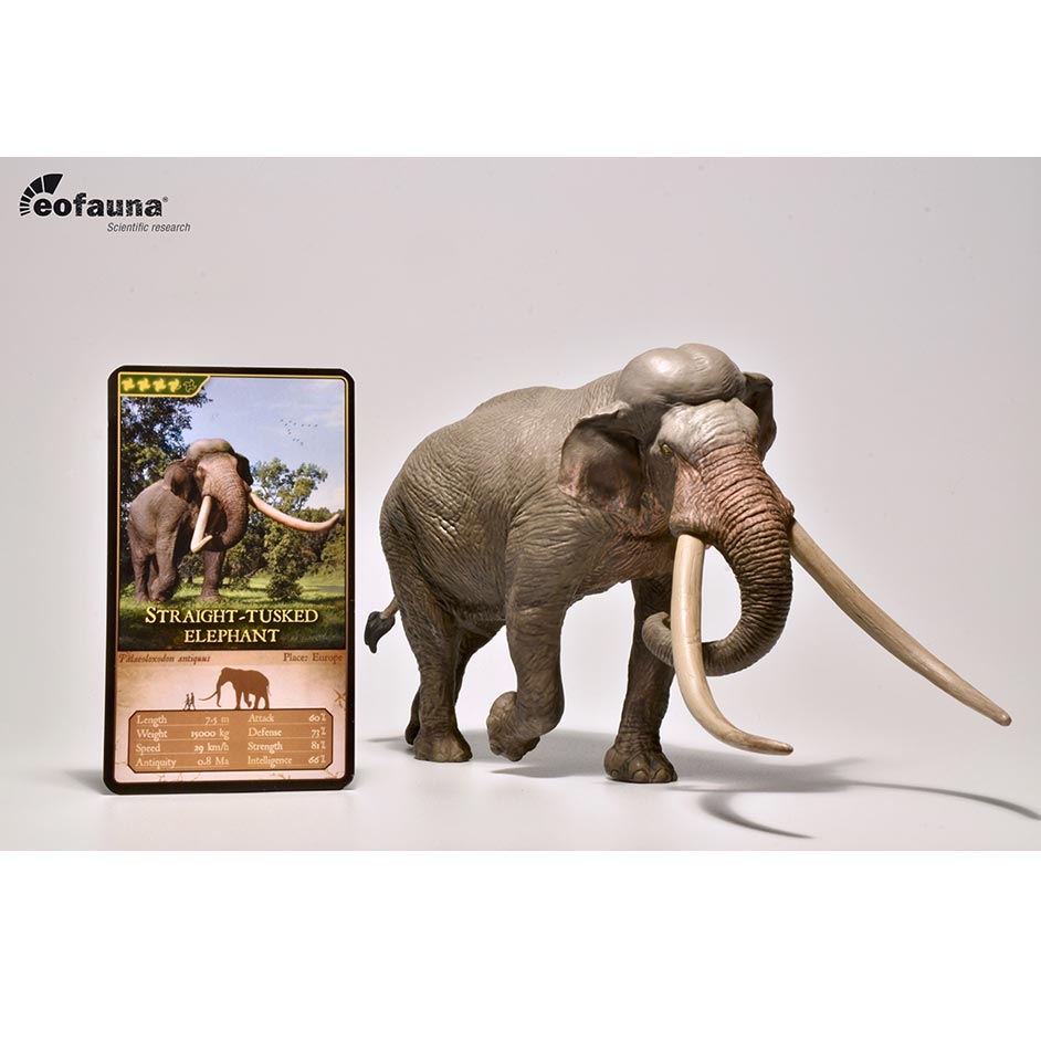 Eofauna Straight-tusked elephant model (Palaeoloxodon antiquus).