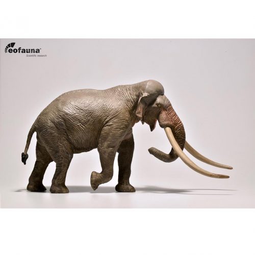 Eofauna Straight-tusked elephant model (Palaeoloxodon antiquus).