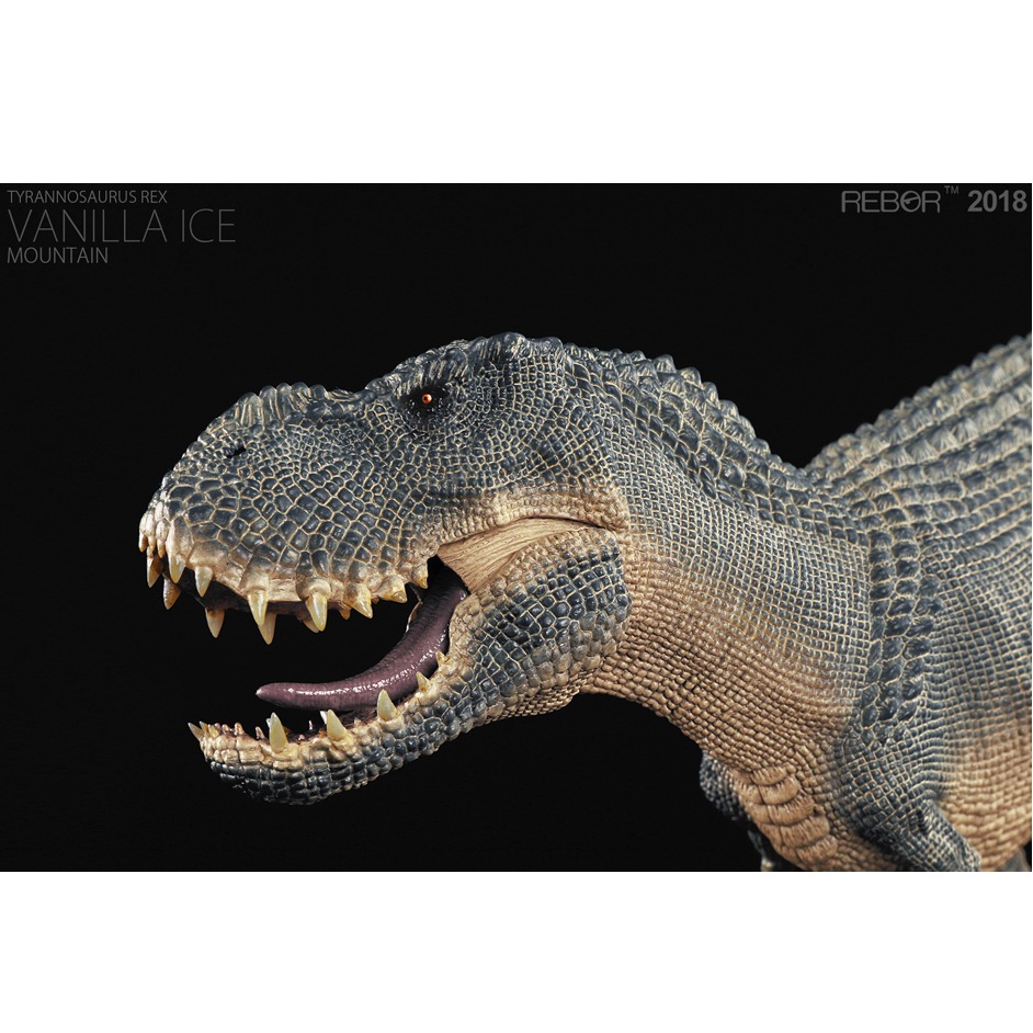 rebor v rex