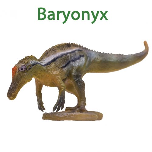 PNSO Baryonyx dinosaur model (Burton).