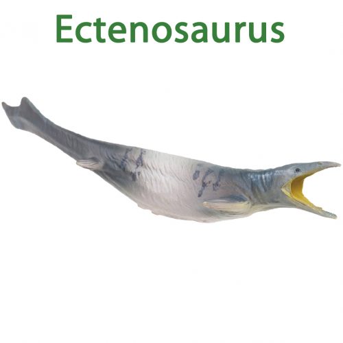 PNSO Ectenosaurus model (Jason).