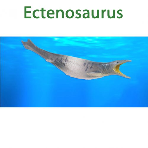PNSO Ectenosaurus model (Jason).