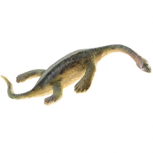 PNSO Keichousaurus model (Ricky).