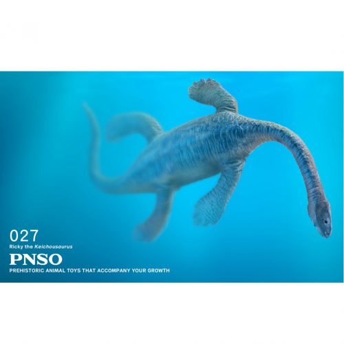 PNSO Keichousaurus model (Ricky).
