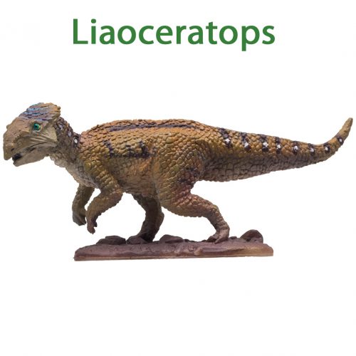 PNSO Liaoceratops model (Hehe).