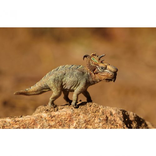 PNSO Pachyrhinosaurus model (Alger).