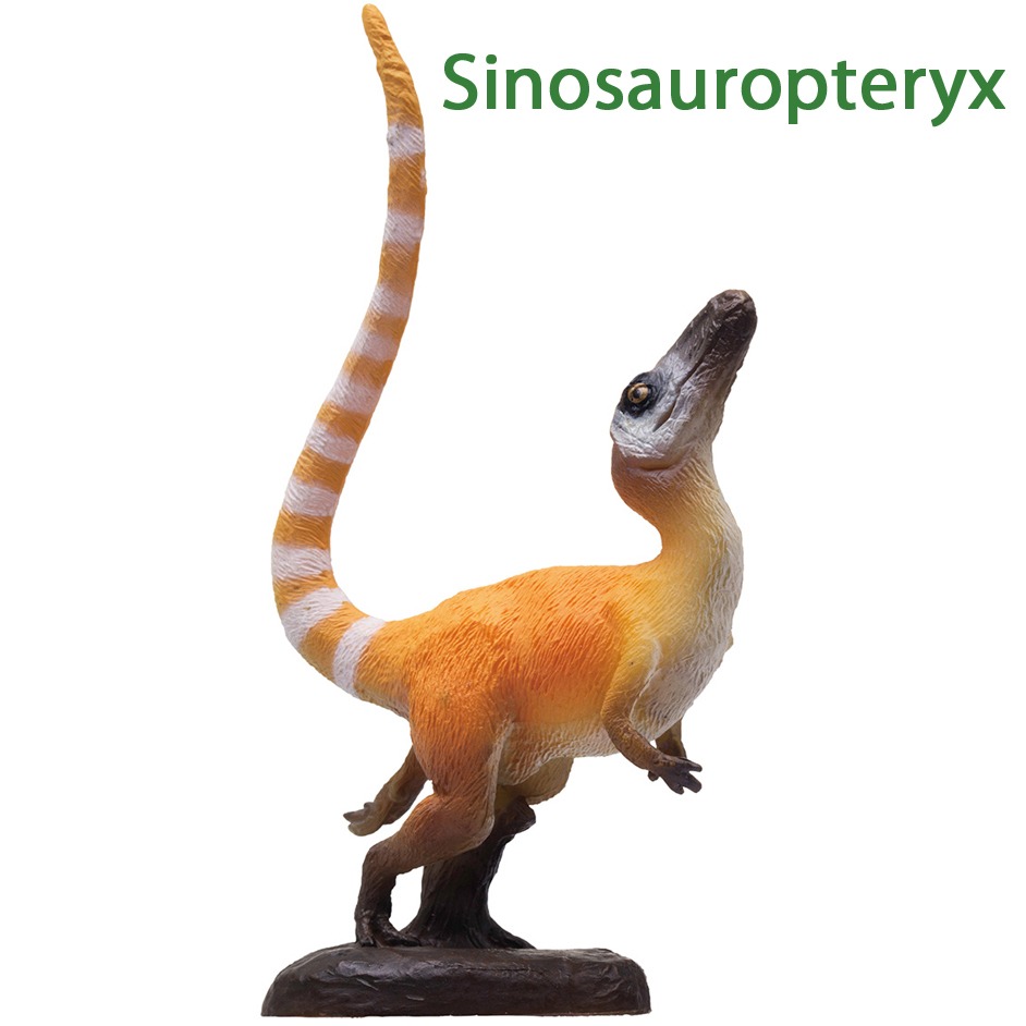 PNSO SINOSAUROPTERYX Dinosaur Model Toy Collectable Art Figure 