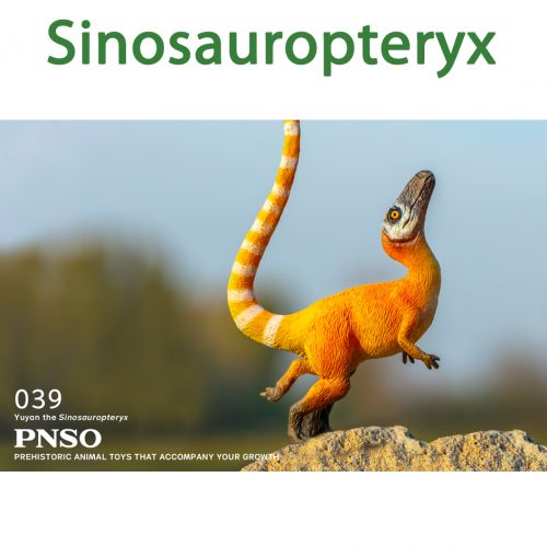 PNSO Sinosauropteryx model (Yuyan).
