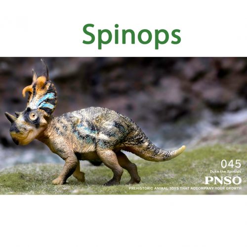 PNSO Spinops model (Duke).