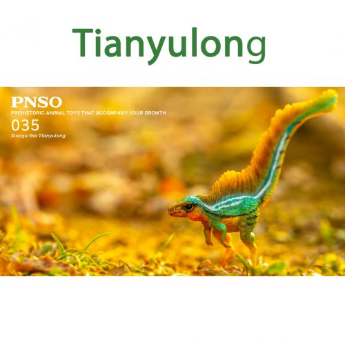 PNSO Tianyulong model (Xiaoyu).