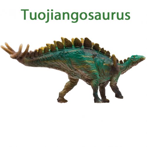 PNSO Age of Dinosaurs Tuojiangosaurus model (2019).