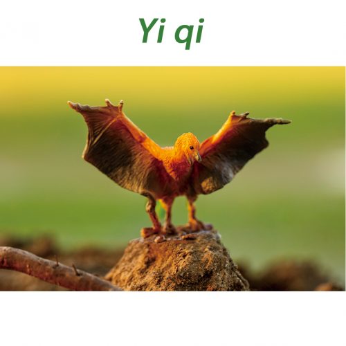 PNSO Yi qi model (Yiyi).