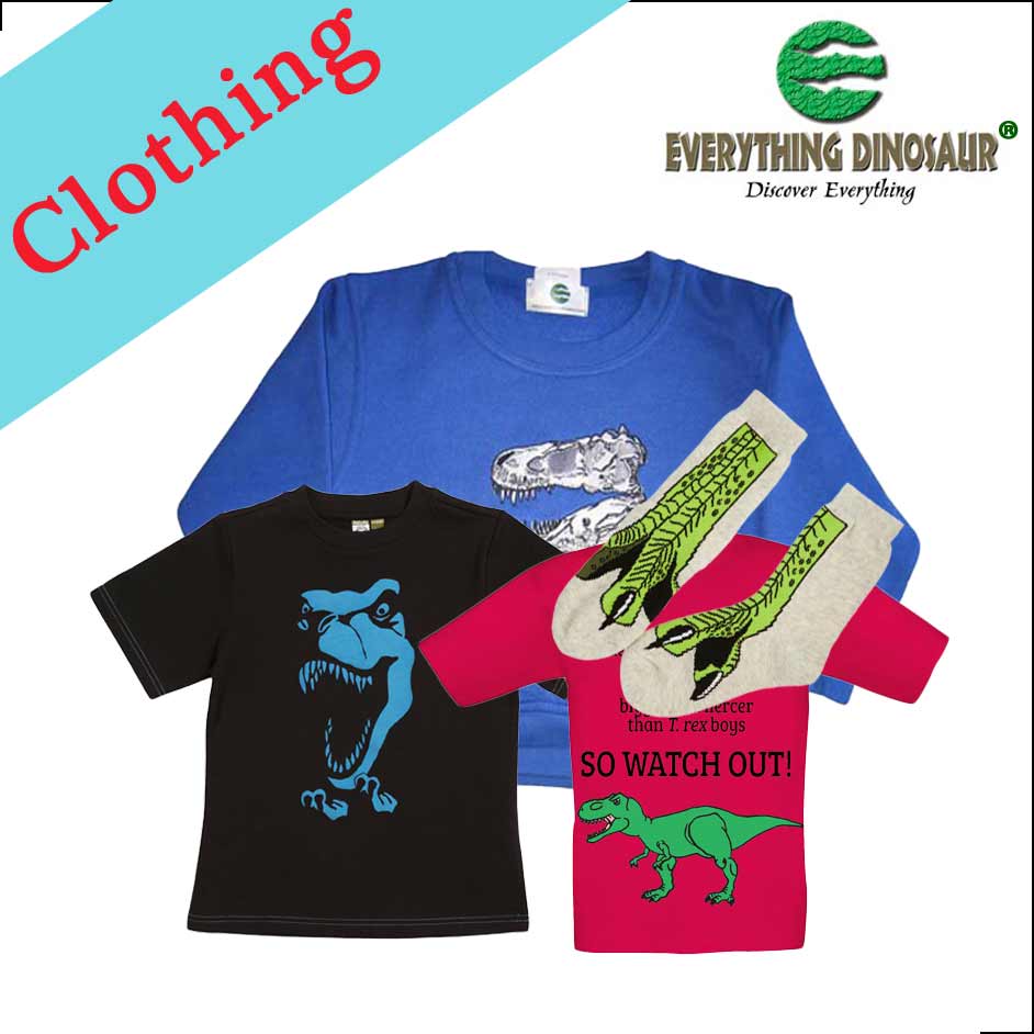 dinosaur clothing kids