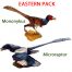 Eastern Pack (Beasts of the Mesozoic).