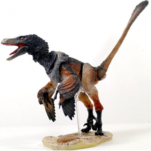 Velociraptor mongoliensis (black).