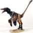 Velociraptor mongoliensis (black).