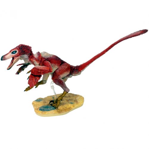 Velociraptor osmolskae (red).